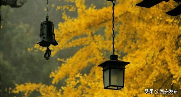 西安赏秋,西安赏秋红叶好去处