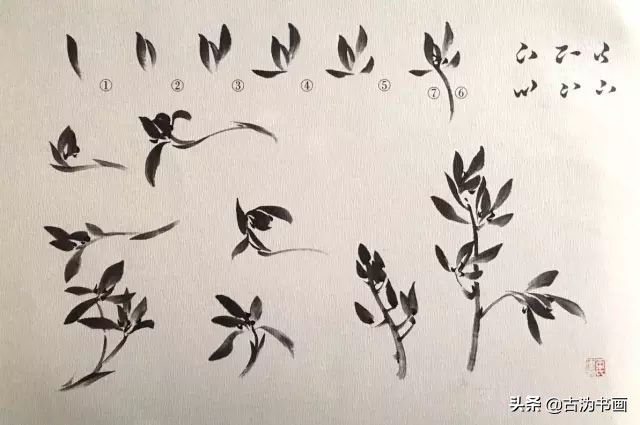 国画兰花技法讲解视频,徐湛国画兰花技法教学