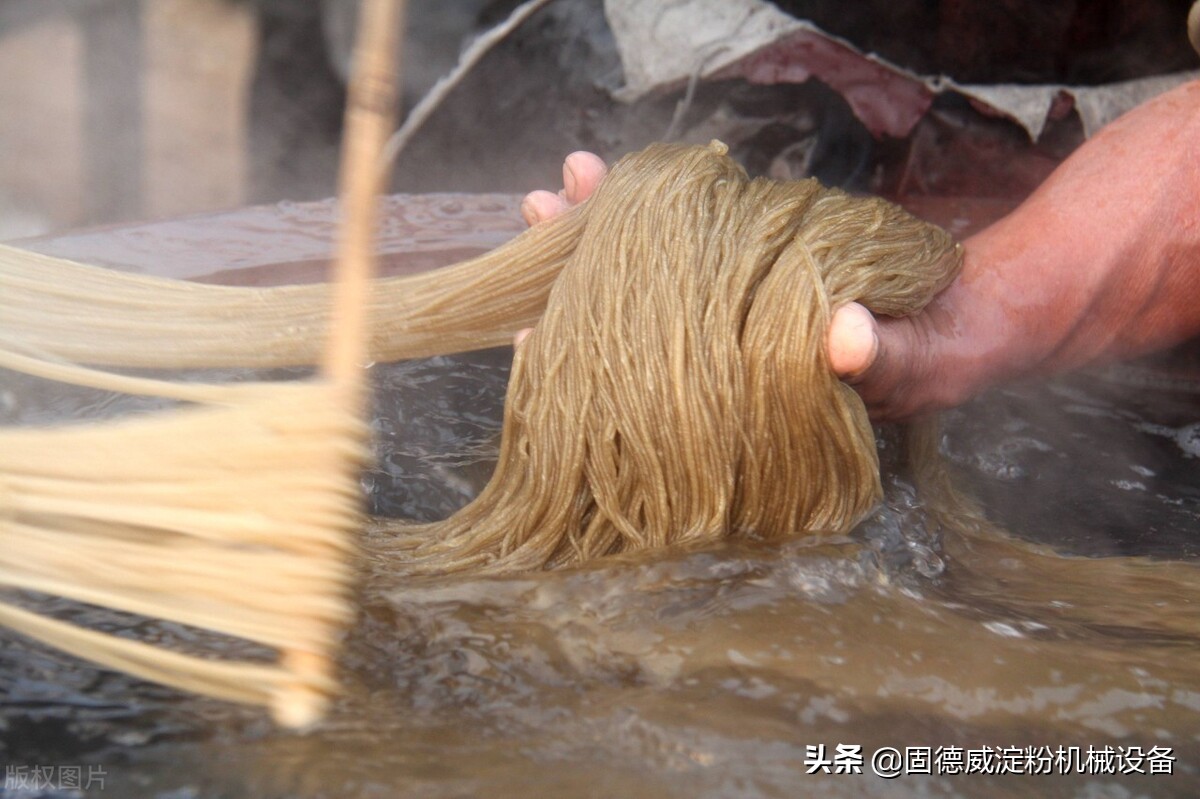 鲜粉条加工机器哪家的好,仿手工红薯粉条机全自动