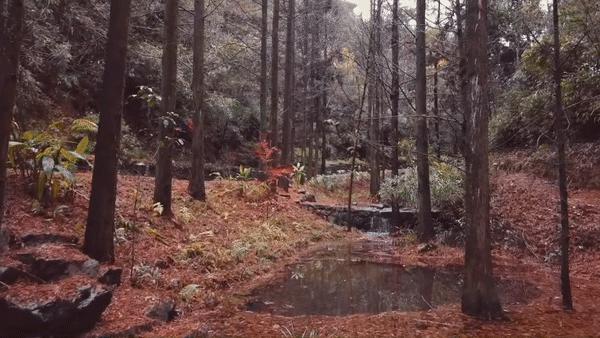 裸心堡折扣,裸心堡观景攻略