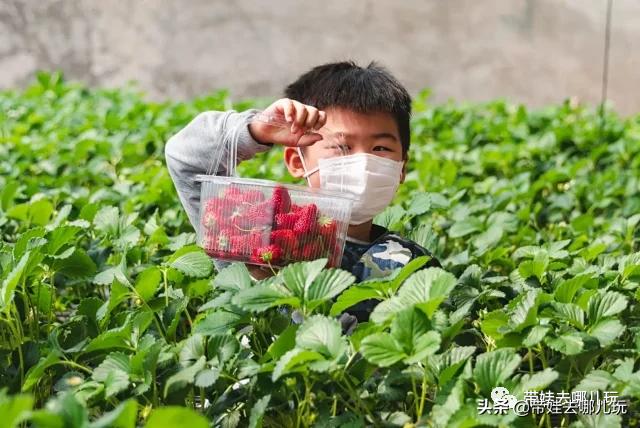 带娃周边3-4天自由行攻略,又到周末要带娃