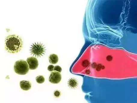 益生菌与真菌,益生菌与幽门螺杆菌