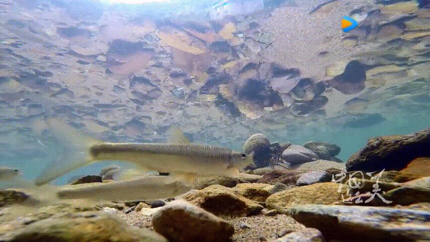 一定要好好生活句子,一定要好好的生活