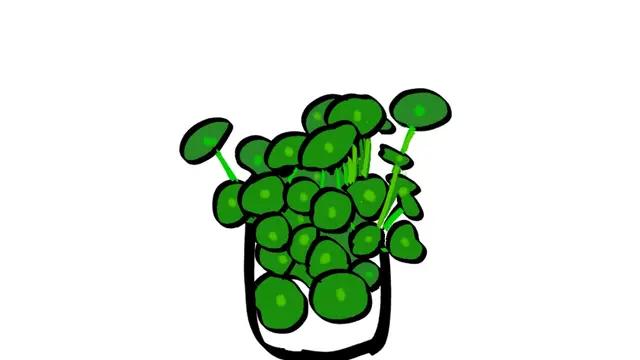 39岁男子深夜血尿突然肾衰竭,30岁男性肉眼可见血尿原因