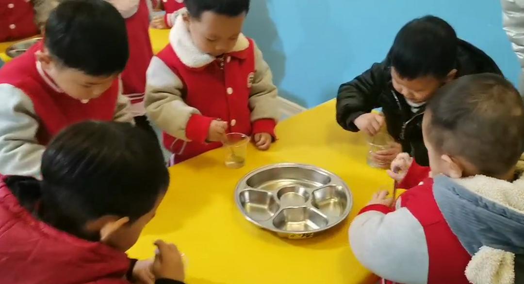 科学知识｜全园科学公开课，围观让孩子好奇心爆棚的有趣实验课程