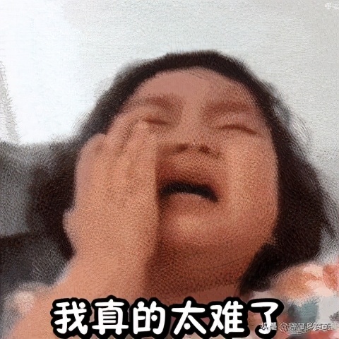 老外说Youareagaydog可千万要淡定啊