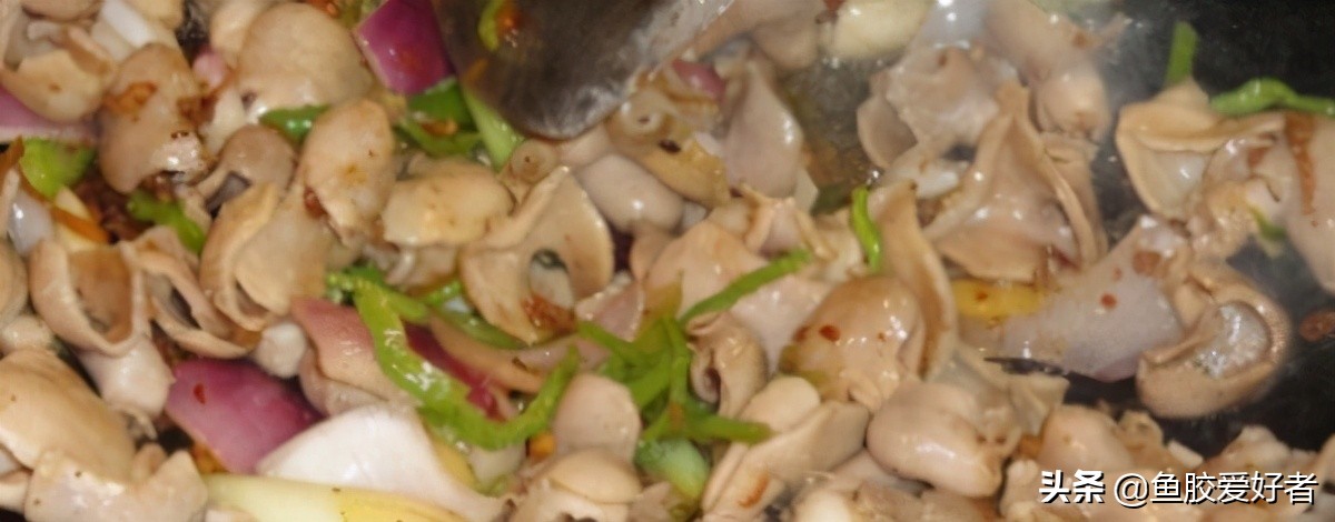 鱼胶正确的泡发方法和做法,鱼胶的制作方法最正宗