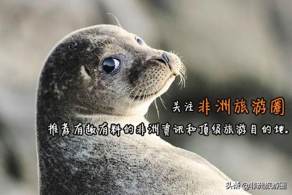 非洲原始部落的“时尚”装扮