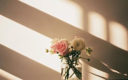 心理学家真的有用吗,心理学家解决不了的是自己的问题