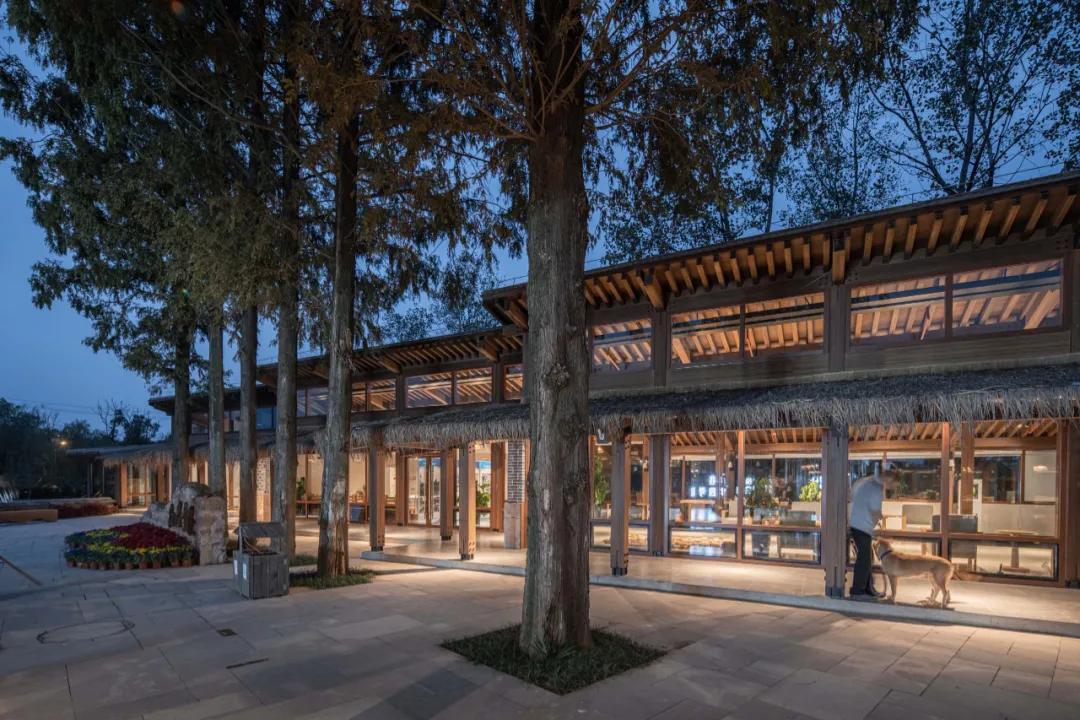 广东美丽乡村别墅设计案例,美丽乡村改造的典型案例