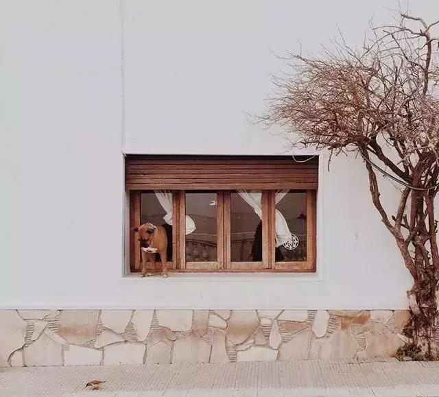 心灵鸡汤励志正能量短句人生感悟,心灵鸡汤女人励志语录正能量