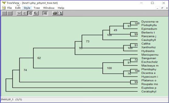 手把手教你构建漂亮的进化树,系统进化树怎么调试节点