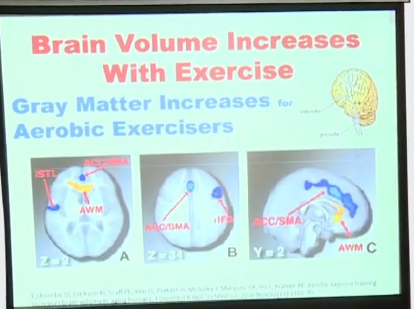激活大脑100%的潜力提高注意力,运动对大脑的神奇塑造