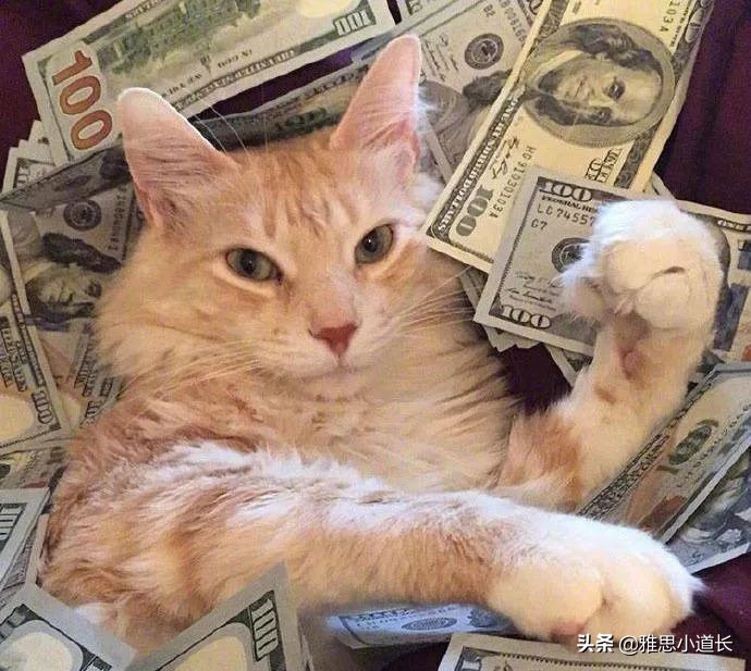 十大高薪英文名排行榜,比较容易拿高薪的英文名