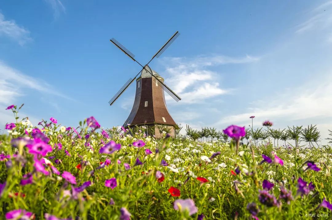 游玩半价票,雁荡山周末半价票