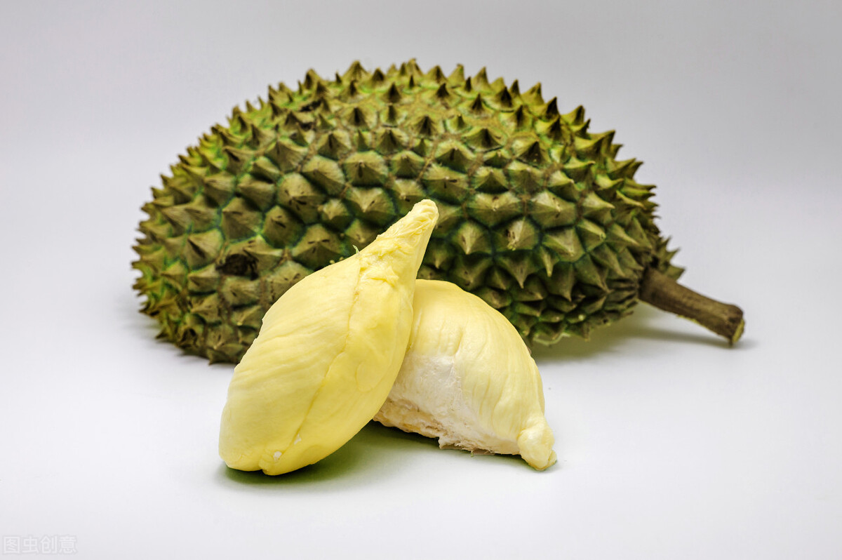 榴莲树和榴莲的生长过程,榴莲为什么是热带水果王