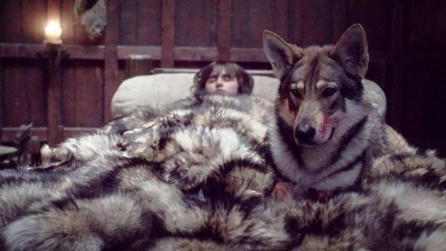 权力的游戏红袍女巫跟雪诺,冰原狼雪诺与白灵完整版