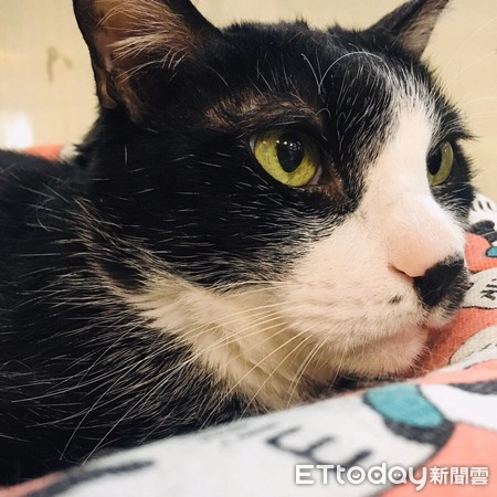 姣涙瘺搴楅暱,姣涙瘺搴楅暱瑙嗛