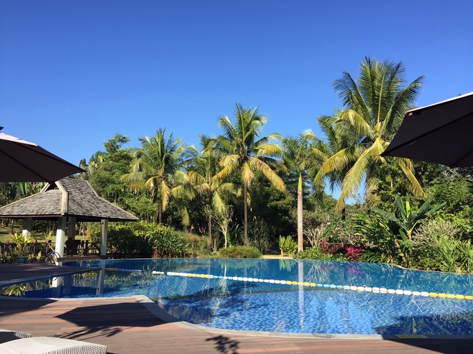 南宁至西双版纳旅游吃住行攻略,云南西双版纳旅游景点攻略自由行