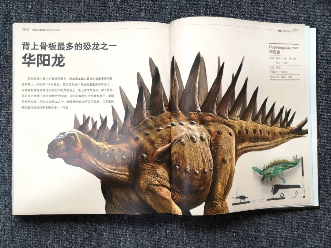 适合孩子看的恐龙科普书,适合5岁孩子看的恐龙科普书