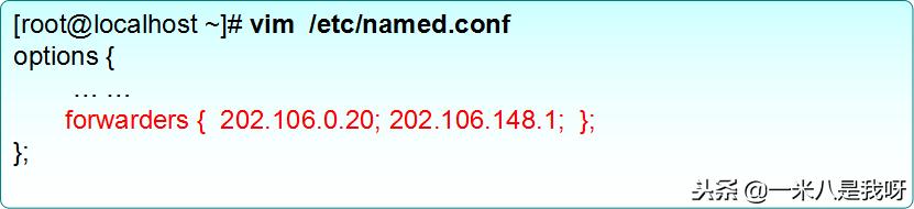 linux怎么搭建简单web服务器,linux配置dns域名解析服务器