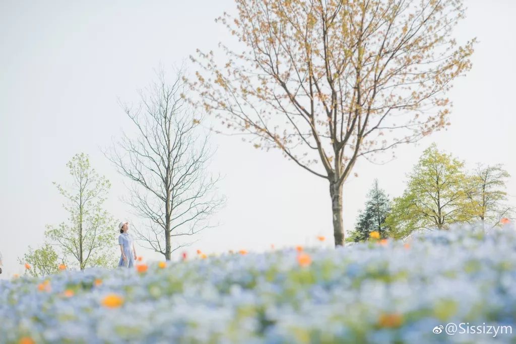 戴口罩的冬天太漫长，差点忘了中国的春天有多美