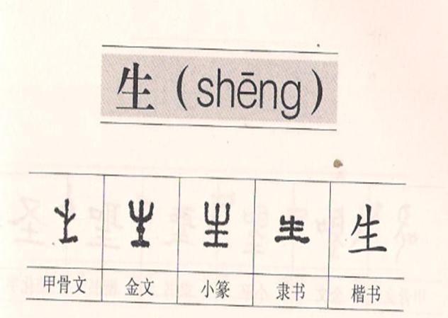 小学语文知识大集结练习十一,小学语文基础知识的练习册