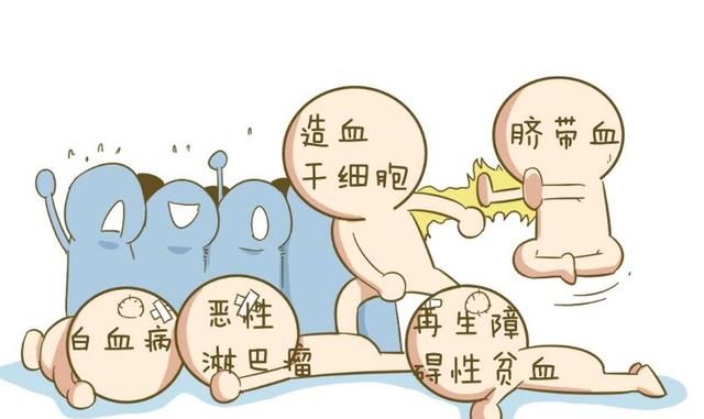 储存脐带血能治白血病？