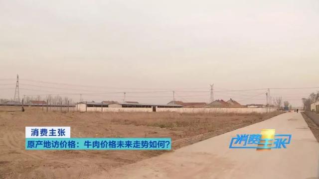 牛肉批发价最新价格,牛肉价格补贴最新消息