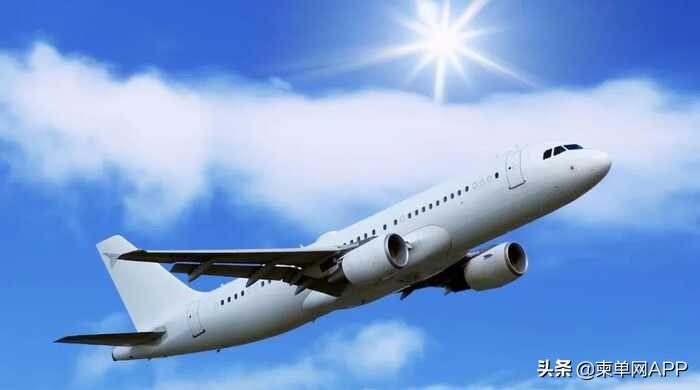 “女”变“男”,核酸报告的乌龙让我无法从柬埔寨登机