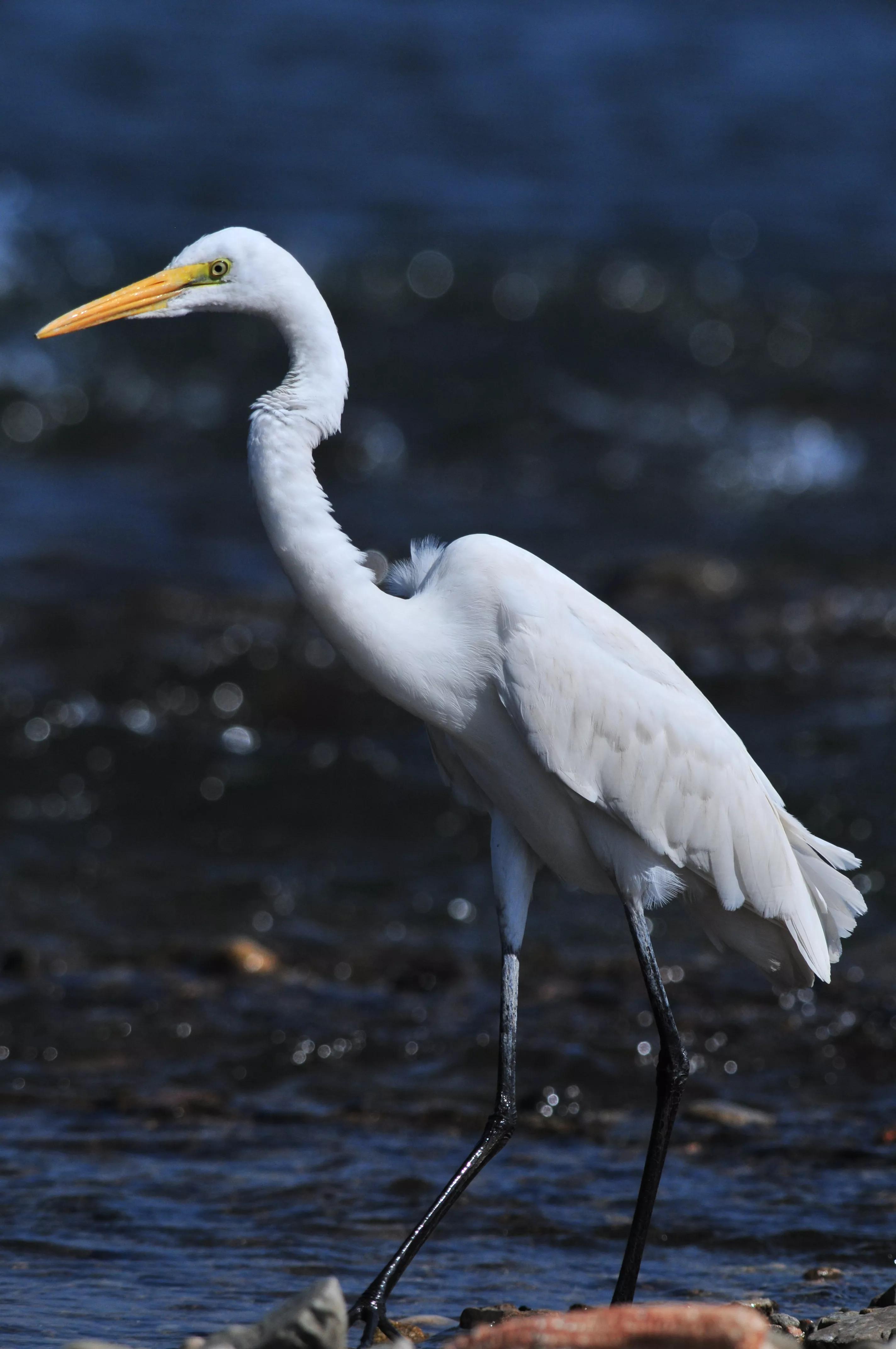 镜头装增距镜光圈会变化吗,镜头加增距镜后虚化效果会变好吗