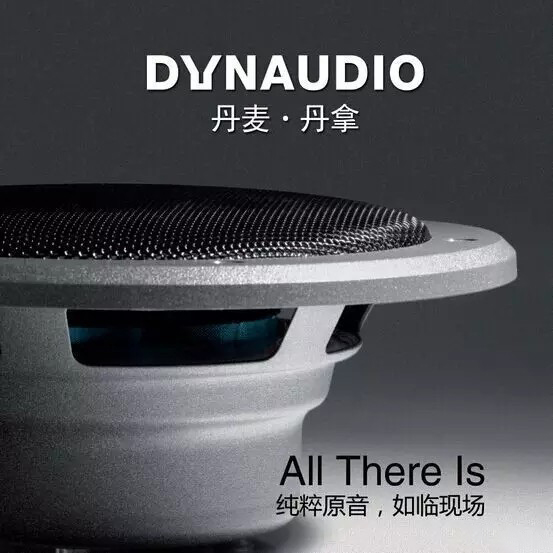 丹拿232与丹拿236（40周年）对比鑫航音响改装带你了解它们的区别