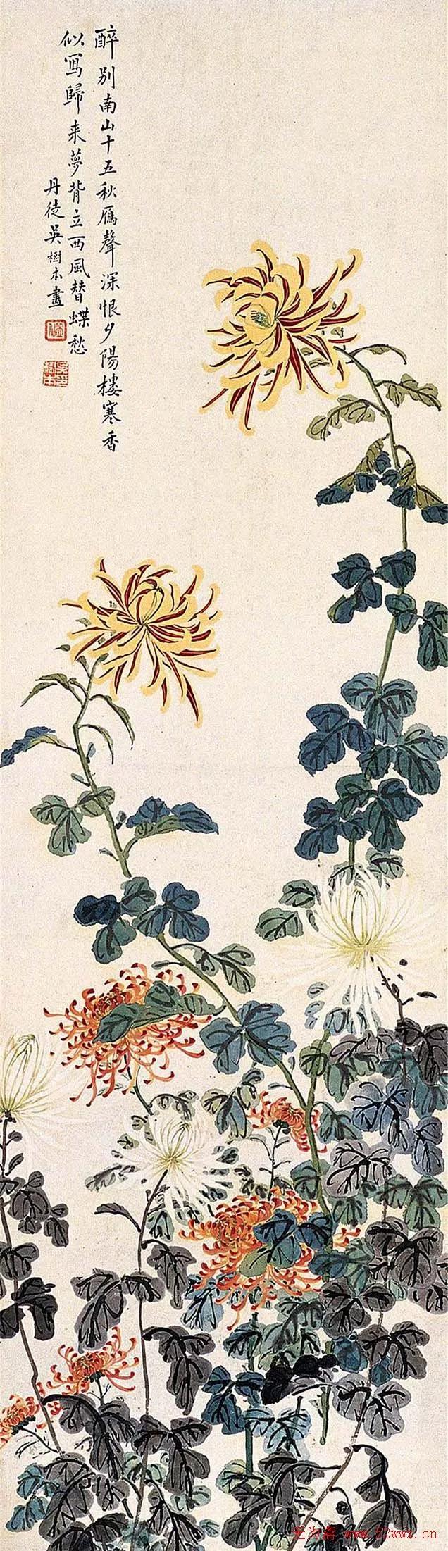 国画写意菊花精品100幅,吴昌硕的写意菊花高雅古朴之大美