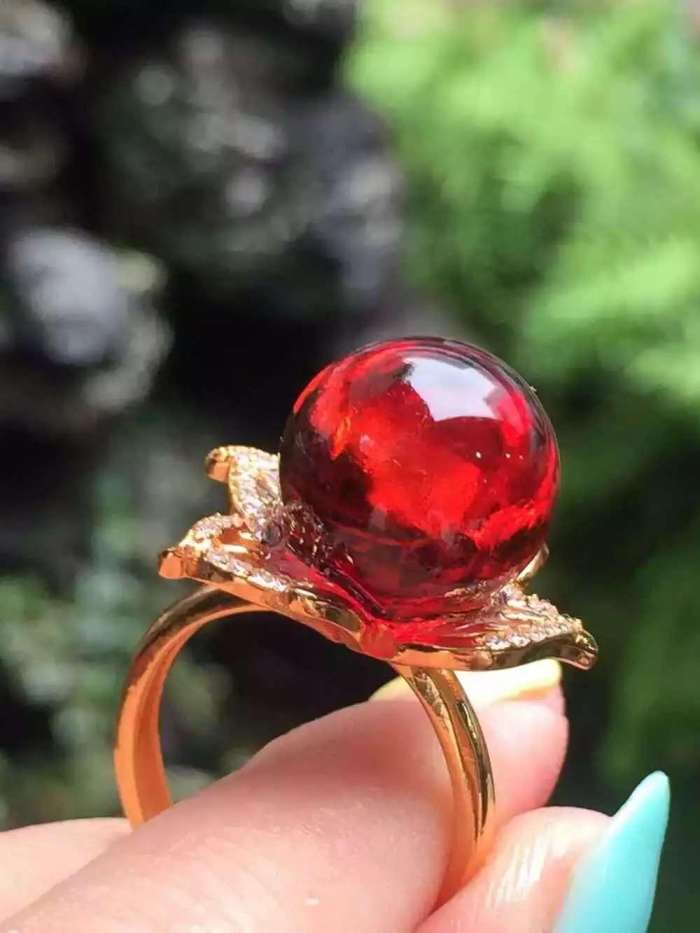 血珀的含义,血珀的形成过程