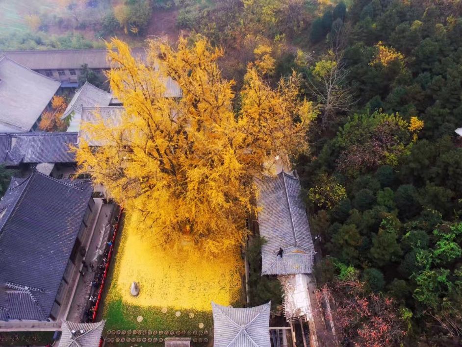 2020旅行时间表,2021年旅行时刻表出炉