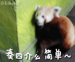 钱要怎么花才能越花越多,白金信用卡全解析