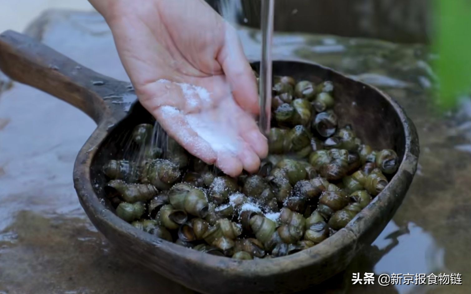 螺蛳被列国家二级保护动物,螺蛳粉被列为国家二级保护动物吗