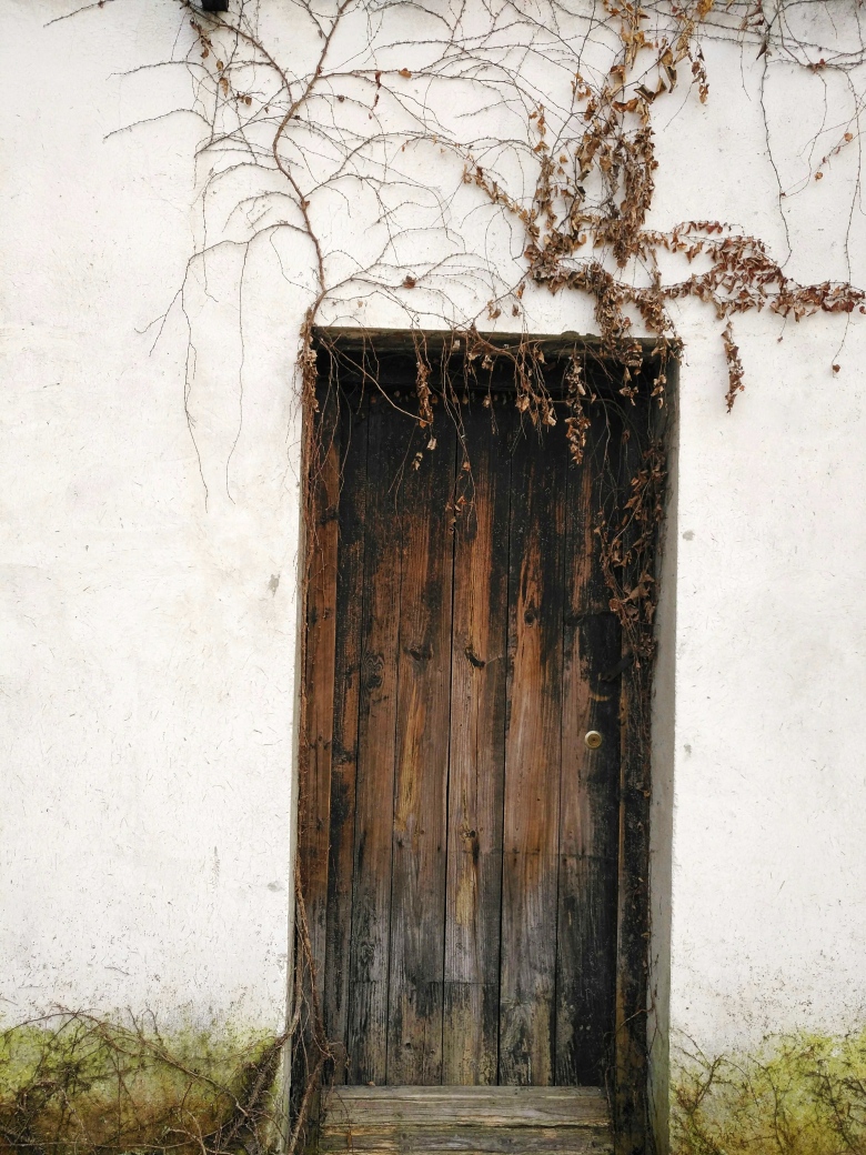 我们一生要面对无数次分别，你最想与哪个TA好好道别？