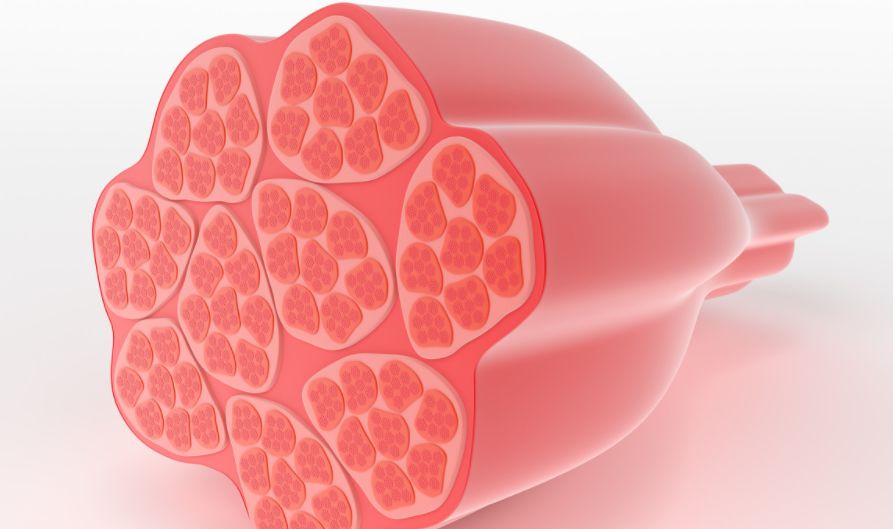 每天五百个卷腹多久才能看见效果,每天做100个卷腹有什么效果