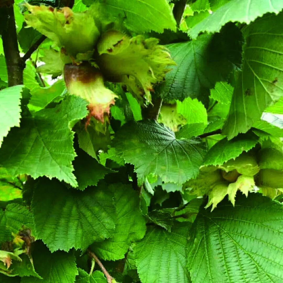 沈阳市新闻12月5日,沈阳新闻15日微博