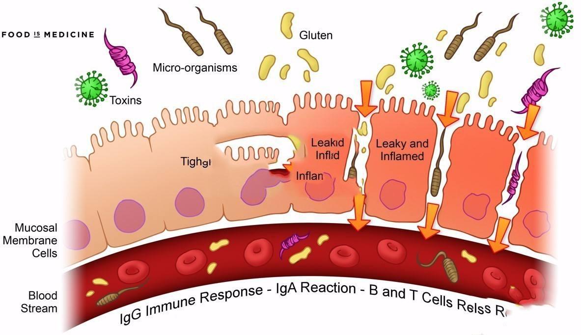 身体的垃圾到底怎么办！！！