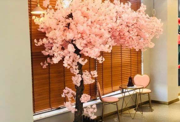 开学前的限定时光,只想泡在这几家韩料店里