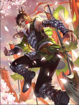 三国杀国家队排行榜,三国杀十大天团