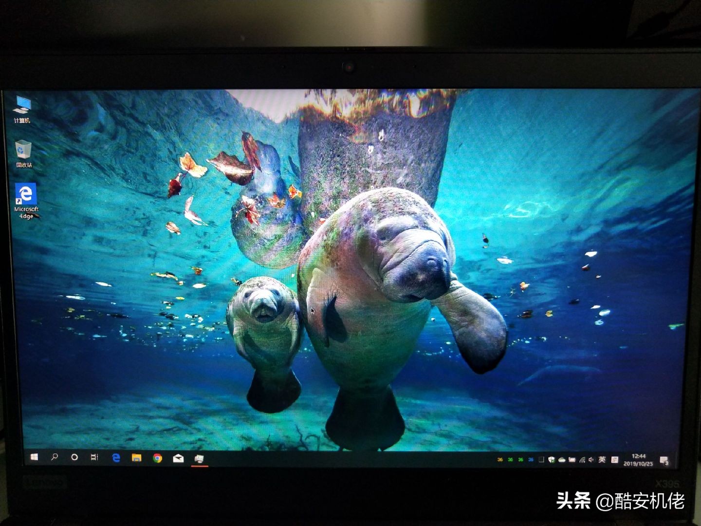 thinkpadx395专业版评测,2023最有性价比的thinkpad