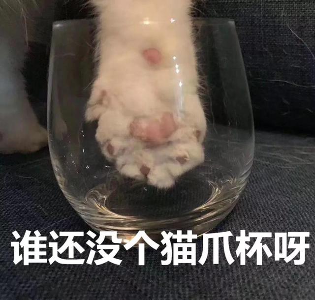 星巴克猫爪杯深夜排队疯抢,疯抢星巴克猫爪杯视频