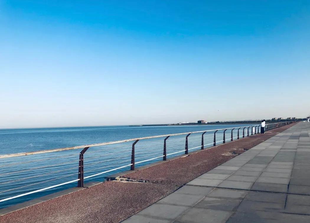 一个不出郑州的踏青好去处,天津春游公园推荐