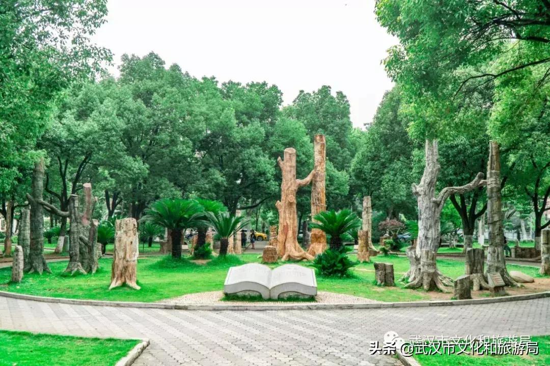 武汉奇特博物馆,武汉奇妙博物馆