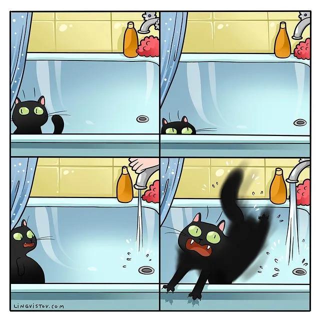 沙雕猫片，笑到床塌！自从做了卑微的铲屎官，比一个人时刺激多了