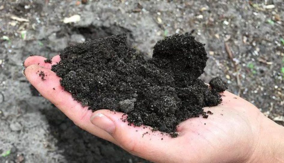 如何检测土壤的ph具体方法,如何不用ph试纸判断土壤的酸碱性