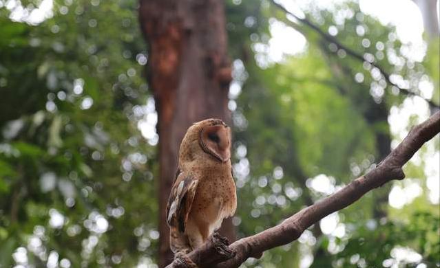 广州长隆四天三晚旅游推荐,4天去广州长隆和珠海看海怎么玩